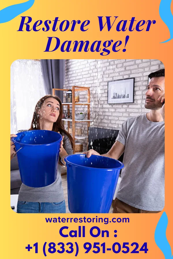 water restoration Local Water Mitigation Contractors Bier