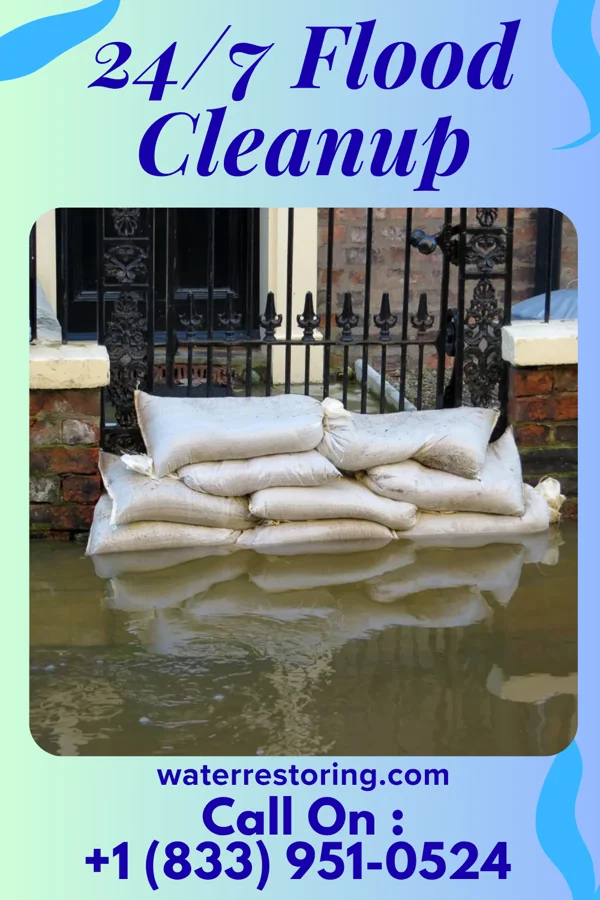 24/7 Flood Cleanup in Bier, MD