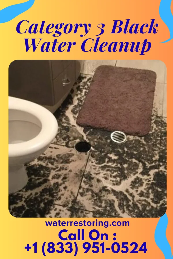 Category 3 Black Water Cleanup in Bier, MD