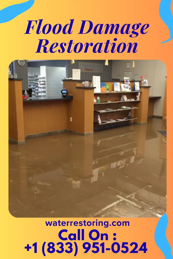 Flood Damage Restoration in Bier, MD