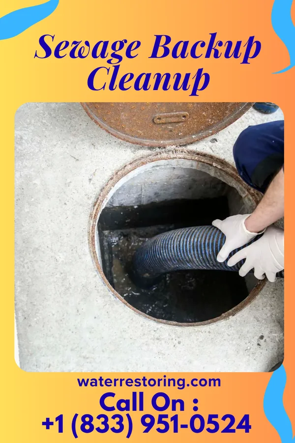 Sewage Backup Cleanup in Bier, MD