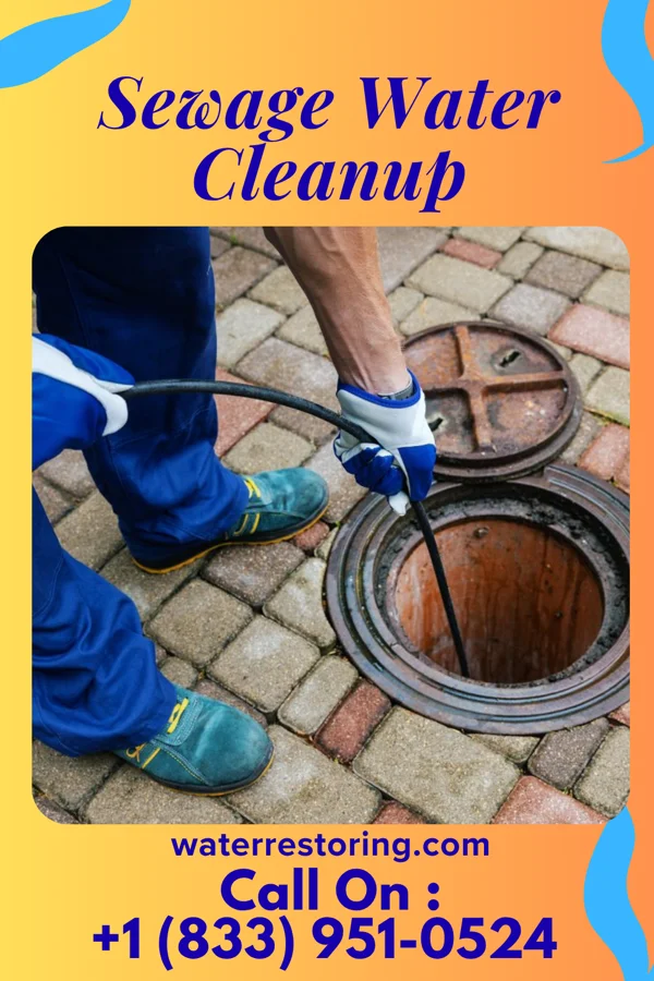 Sewage Water Cleanup in Bier, MD
