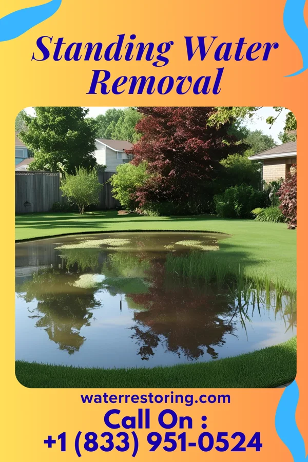 Standing Water Removal in Bier, MD